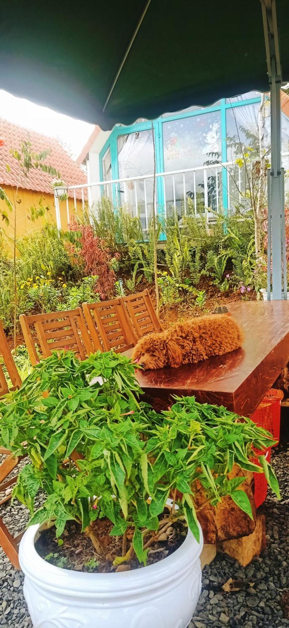 Paradiso Homestay Mangden Kon Von Kla Luaran gambar